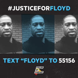 justice for floyd color of change.png